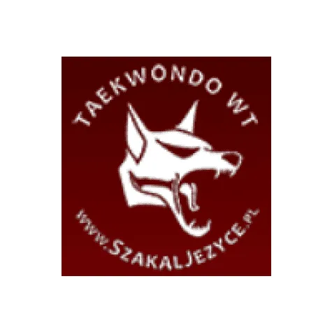 taekwondo szkoła nauki sztuk walki dzieci